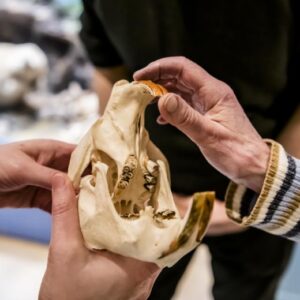haarig oder federleicht - Tiere in Brandenburg