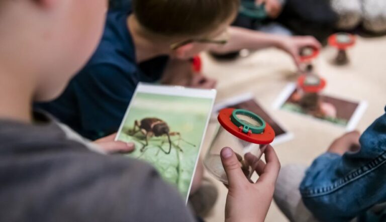 Betrachtung eines Insektes in einer Becherlupe