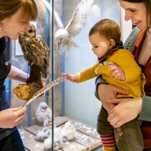 Mutter und Kind betrachten Feder und Kauz, Foto: David Marschalsky, Lizenz: Naturkundemuseum Potsdam