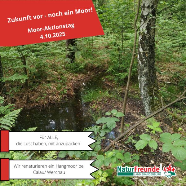 Aktionstag Kleine Hölle - Einladung