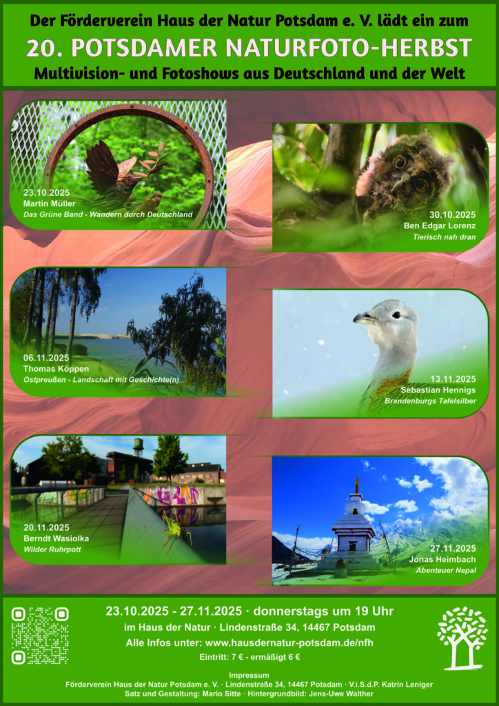 Plakat vom Potsdamer Naturfoto-Herbst 2025