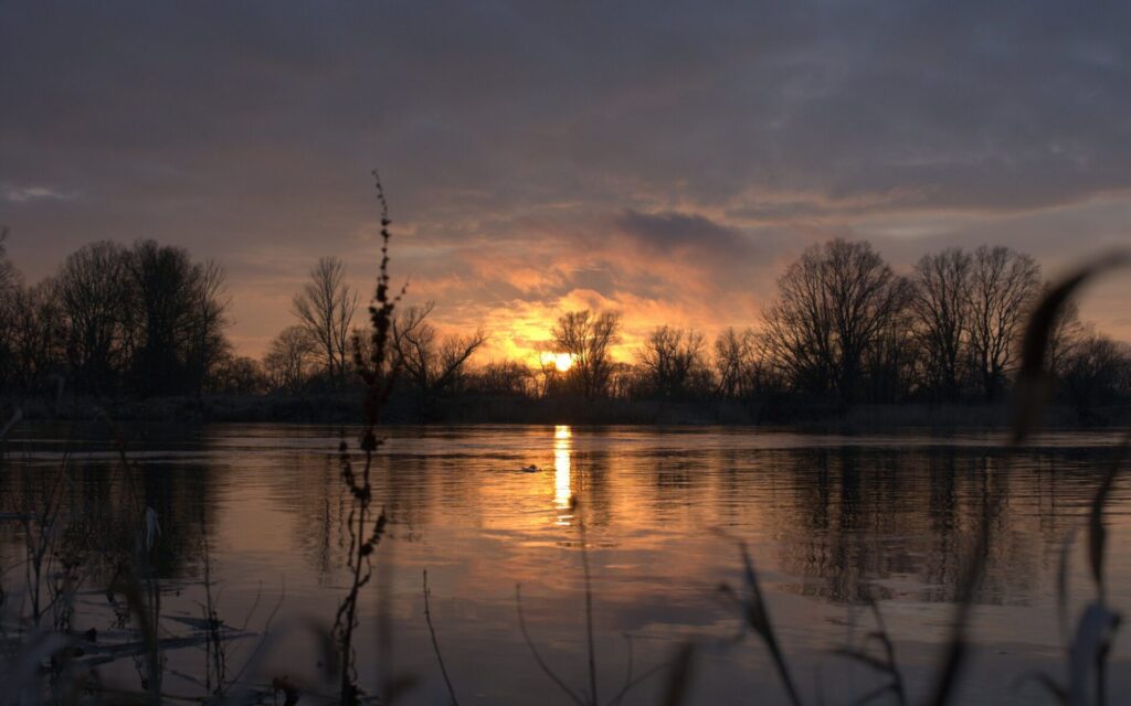 Sonnenuntergang an der Oder