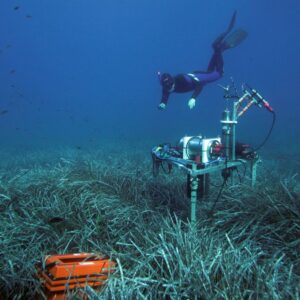 Taucher*in in einer Seegraswiese unter Wasser | © HYDRA Marine Sciences; Ulisse Cardini