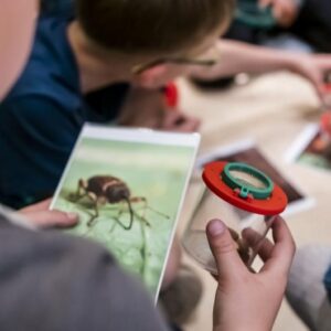 Forschen mit der Becherlupe