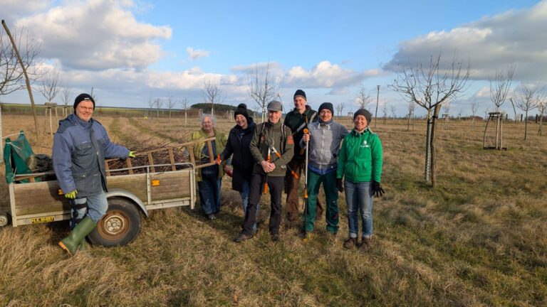 Menschen auf einer Wiese