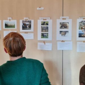 Zettel an der Wand mit zwei Menschen im Vordergrund