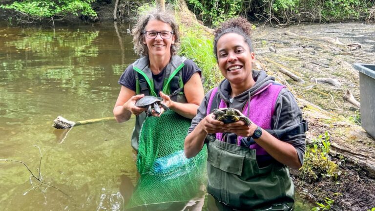 Zwei Frauen mit Schildkröten in den Händen