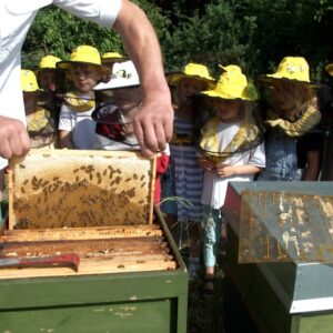 Mann mit Bienen, Kinder stehen herrum