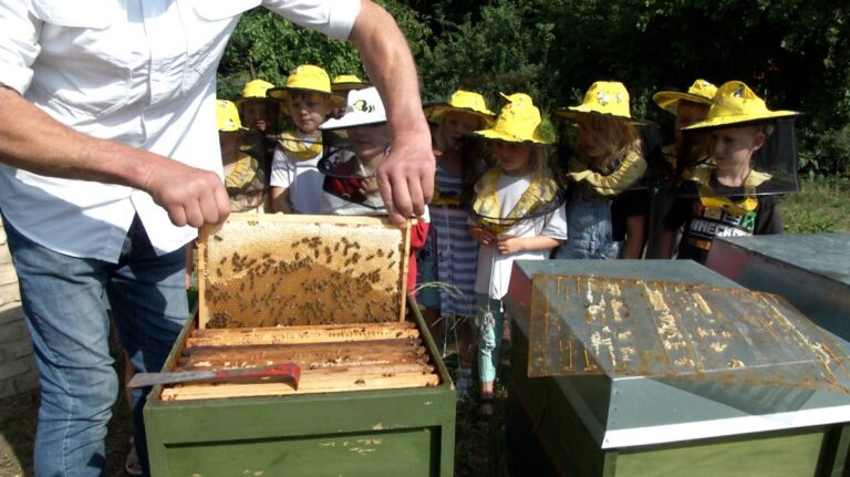 Mann mit Bienen, Kinder stehen herrum