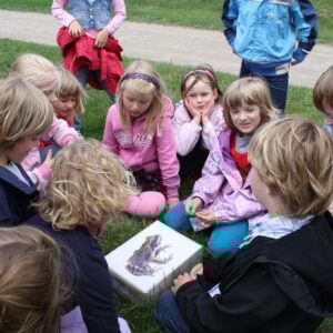 Viele Kinder sitzen vor einer Kiste
