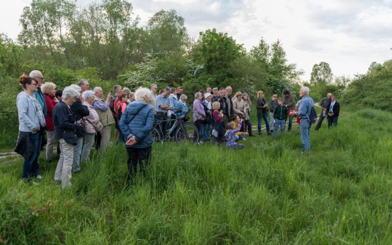 Menschen bei einer Wanderung auf einer Wiese