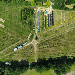 Wasl aus der Vogelperspektive