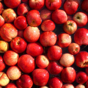 Äpfel
