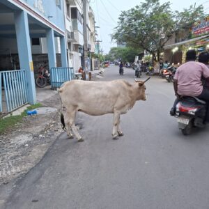Eine Straße in Indien