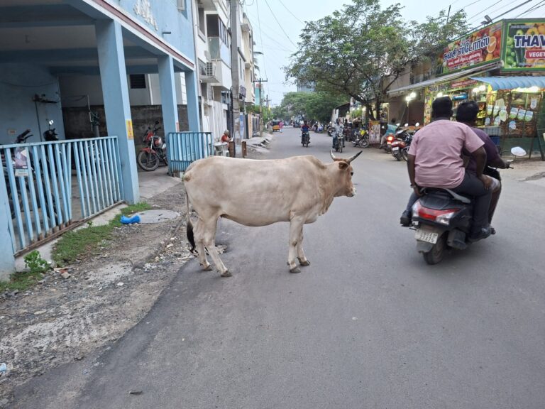 Eine Straße in Indien